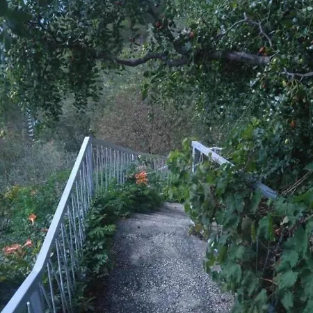 Paradiso